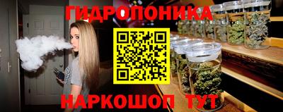apvp Гусев